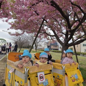 ひよこ組　土手へお散歩